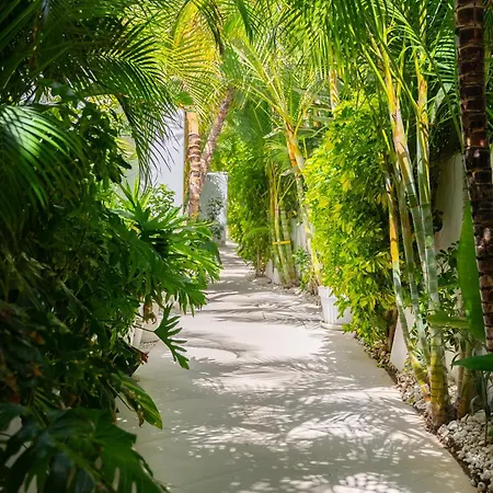 Hotel Lani's De Luxe - Adults Only Puerto del Carmen (Lanzarote)